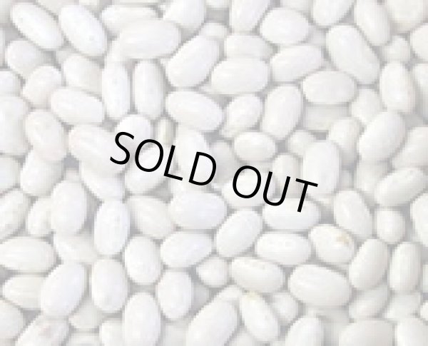 画像1: 白いんげん豆 大手亡 2各 30kg 国内産 北海道ほか (1)