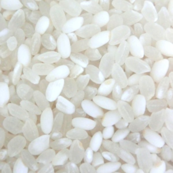数量限定】 生活応援米の決定版 「もち入り 御膳」 10kg