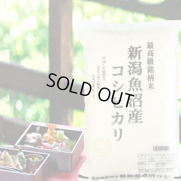 画像1: 令和6年産 新潟県魚沼産コシヒカリ JA十日町 白米2kgx1袋 保存包装/化粧箱 選択可 (1)