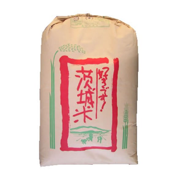 画像1: 【精米料無料】令和6年産 茨城県産 コシヒカリ 2等玄米30kg 白米・無洗米加工保存包装　対応可 (1)