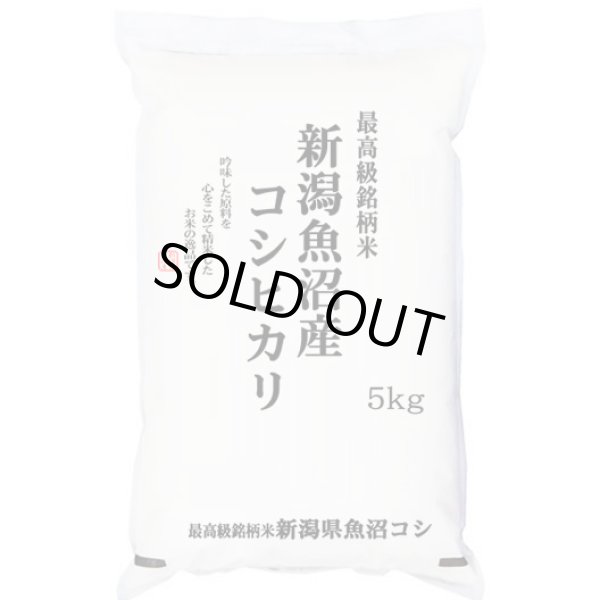 画像1: 【米麺・玄米麺 加工対応】 令和6年産 新潟県魚沼産コシヒカリ JA十日町 5kgx1袋 (1)