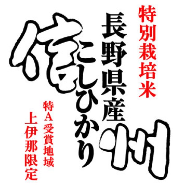 画像1: 特別栽培米 令和7年産 長野県南信州産 コシヒカリ 10kgx1袋 白米・玄米・無洗米加工/保存包装/配送箱 選択可能 (1)