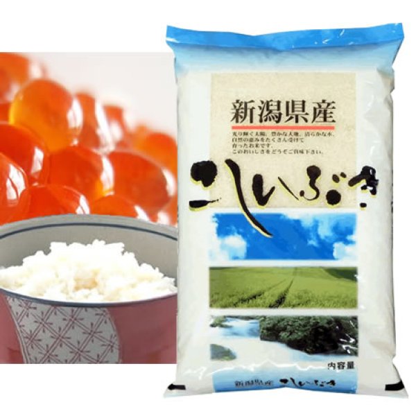 画像1: 【米麺・玄米麺 加工対応】 越後の米 令和5年産 新潟県産 こしいぶき 5kgx1袋 (1)