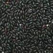 画像2: 古代米 黒米の米粉 10kg（山梨県産朝紫）長期保存包装 (2)
