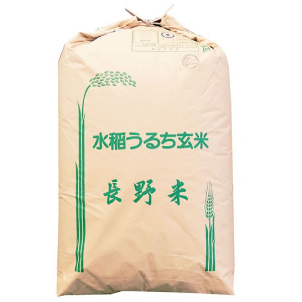 画像1: 【精米料無料】令和7年産 長野県伊那産 五百川 1等玄米30kg 白米・無洗米加工保存包装　対応可 (1)