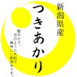 画像1: 越後の米 令和5年産 新潟県産 つきあかり 10kgx1袋 白米・玄米・無洗米加工/保存包装/配送箱 選択可能 (1)