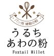 画像1: 【送料無料】【投函便】うるち あわの粉 （中国産） 500g ベーカリー用雑穀 （投函便） (1)