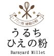 画像1: 【送料無料】【投函便】うるち ひえの粉 （インド産） 500g ベーカリー用雑穀 （投函便） (1)