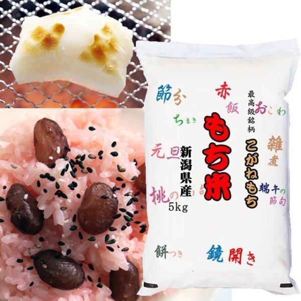 画像1: 【米麺・玄米麺 加工対応】 【予約販売】最高級 もち米 令和7年産 新潟県産 こがねもち 5kgx1袋 (1)