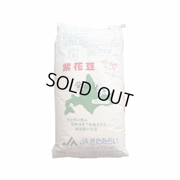 画像1: 紫花豆　25kg　(北海道産) (1)