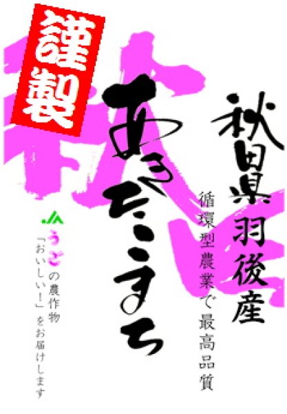 画像1: 【送料無料】【投函便】【投函便】うごエリア 高級 あきたこまち 900gパック 長期保存包装済み (1)