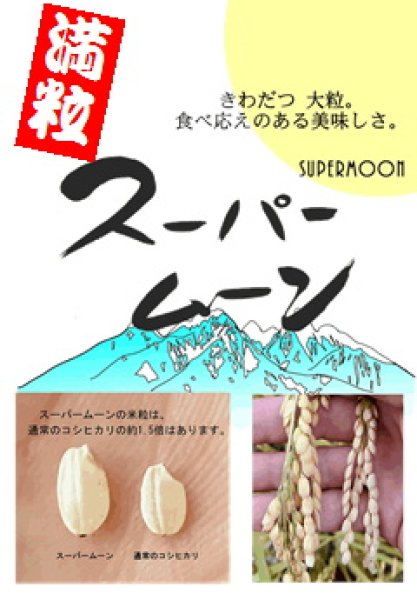 画像1: 【送料無料】【投函便】特別栽培米 スーパームーン 900gパック 長期保存包装済み (1)