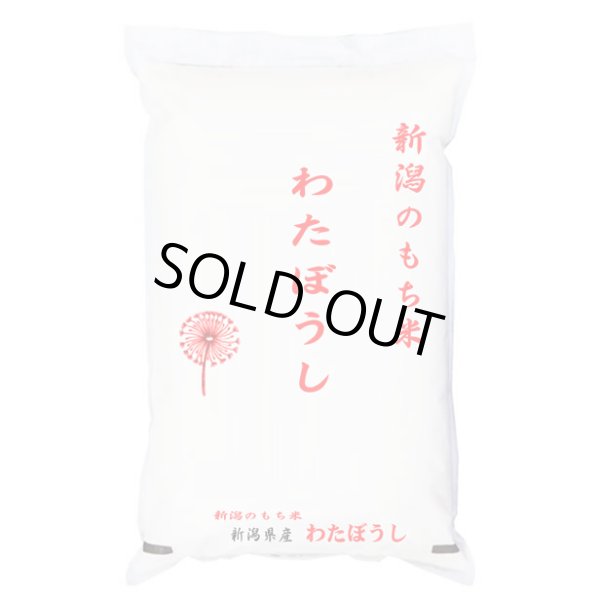 画像1: 【米麺・玄米麺 加工対応】 おいしいもち米 令和6年産新潟県産わたぼうし 5kgx1袋 (1)