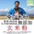 画像1: 【送料無料】【投函便】俺の米粉 （農薬9割化学肥8割減 雪若丸） 無添加 玄米粉 500g (1)