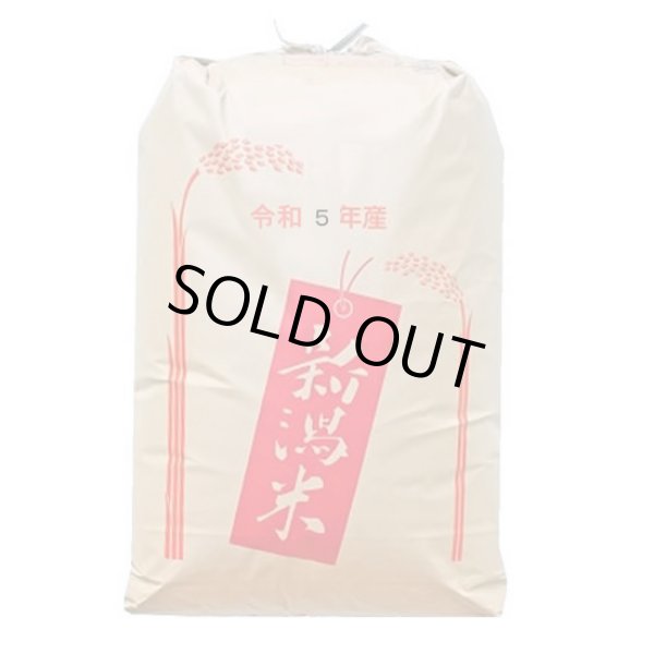 画像1: おいしいもち米 令和5年産新潟県産わたぼうし 精米３０kg (1)