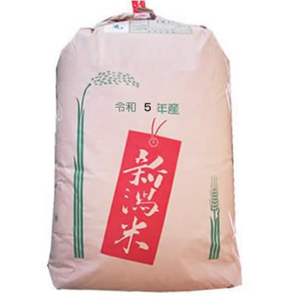 画像1: 【精米料無料】越後の米 令和5年産 新潟県産 つきあかり 2等玄米30kg 白米・無洗米加工保存包装　対応可 (1)