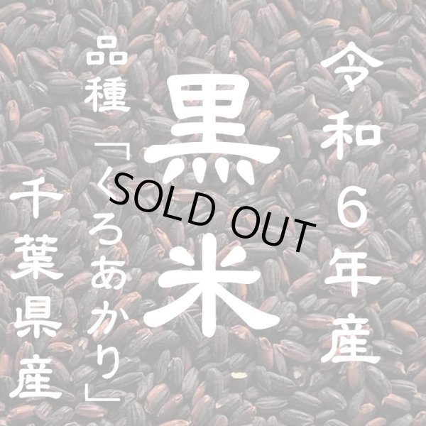 画像1: 令和6年産 黒米 千葉県産 30kg　品種：くろあかり ※若干高温障害がございますが、普通に色付きます (1)