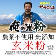 画像1: 【送料無料】【投函便】俺の米粉 農薬不使用 (有機JASのササニシキ) 無添加 玄米粉 500g (1)