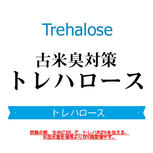 画像2: 【送先：事業所限定】【投函便】トレハロース500g (2)