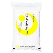 画像1: 【米麺・玄米麺 加工対応】 陸奥の米 令和6年産 宮城県産 つきあかり 5kgx1袋 (1)