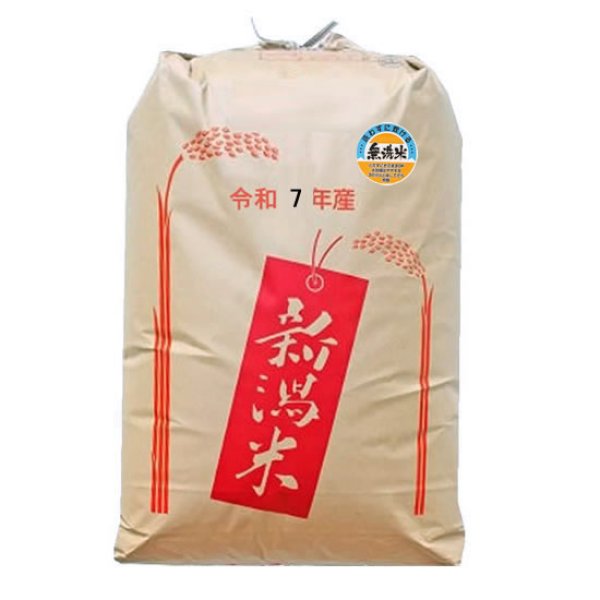 画像1: 【無洗米】もち米 令和7年産新潟県産わたぼうし 精米 30kg (1)