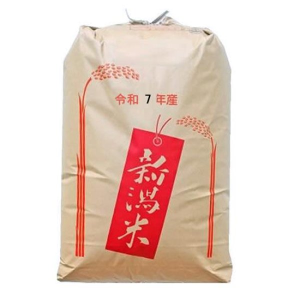 画像1: 【予約販売】【精米料無料】最高級 もち米 令和7年産 新潟県産 こがねもち 2等玄米30kg 白米・無洗米加工保存包装 対応可 (1)