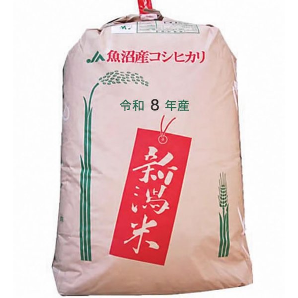 画像1: 【予約販売】【精米料無料】新米 令和8年産 新潟県魚沼産コシヒカリ JA十日町 1等玄米30kg 白米・無洗米加工保存包装　対応可 (1)