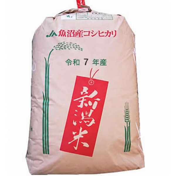 画像1: 【精米料無料】【お買得】令和7年産 新潟県魚沼産コシヒカリ JA十日町 1等玄米30kg 白米・無洗米加工保存包装　対応可 (1)