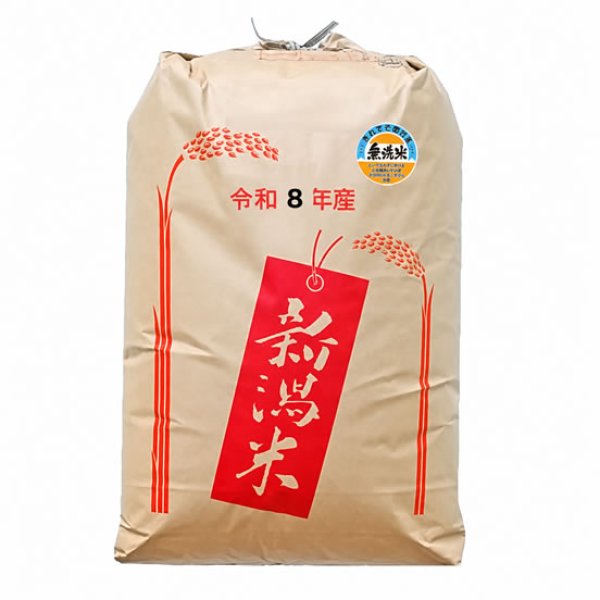 画像1: 【無洗米】新米 もち米 令和8年産新潟県産わたぼうし 精米 30kg (1)