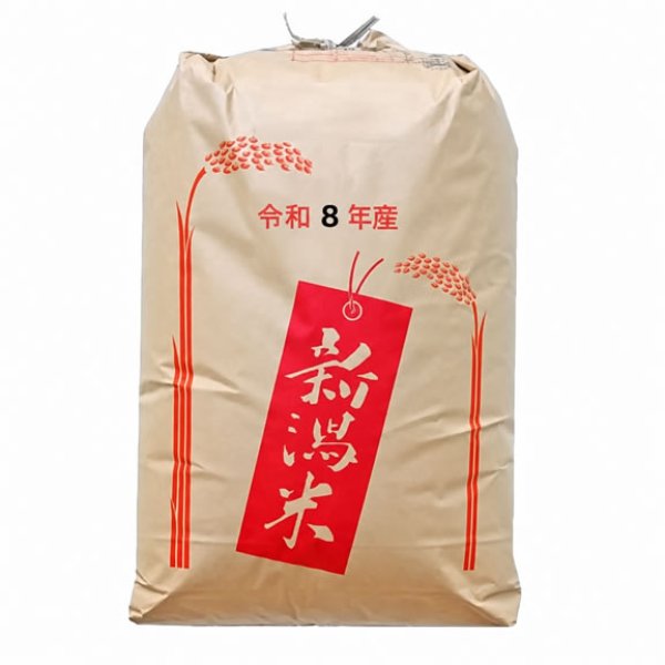 画像1: 新米 もち米 令和8年産新潟県産わたぼうし 精米 30kg (1)